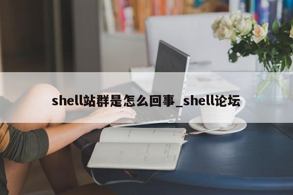 shell站群是怎么回事_shell论坛
